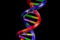 CONCEPT OF GENETICS IN AYURVEDA